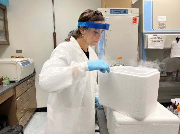 MS - Biomedical Sciences